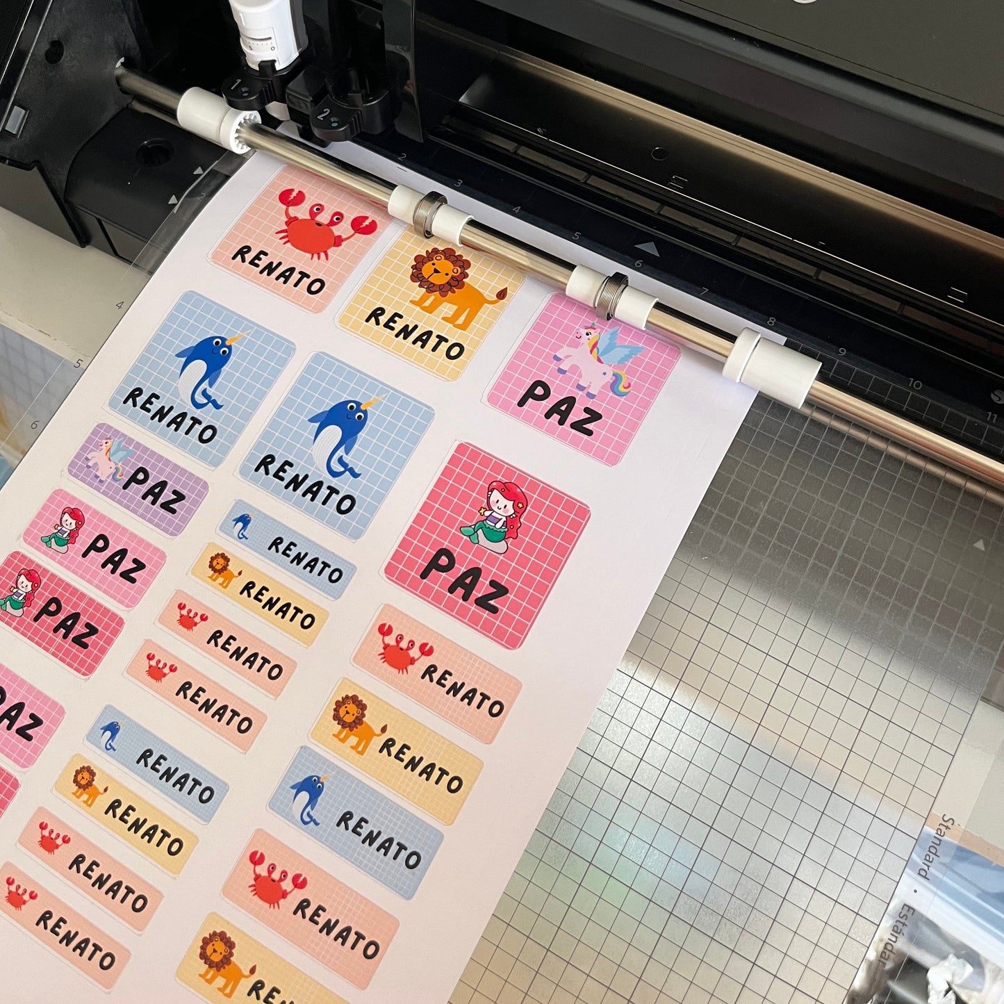 Pack escolar de etiquetas