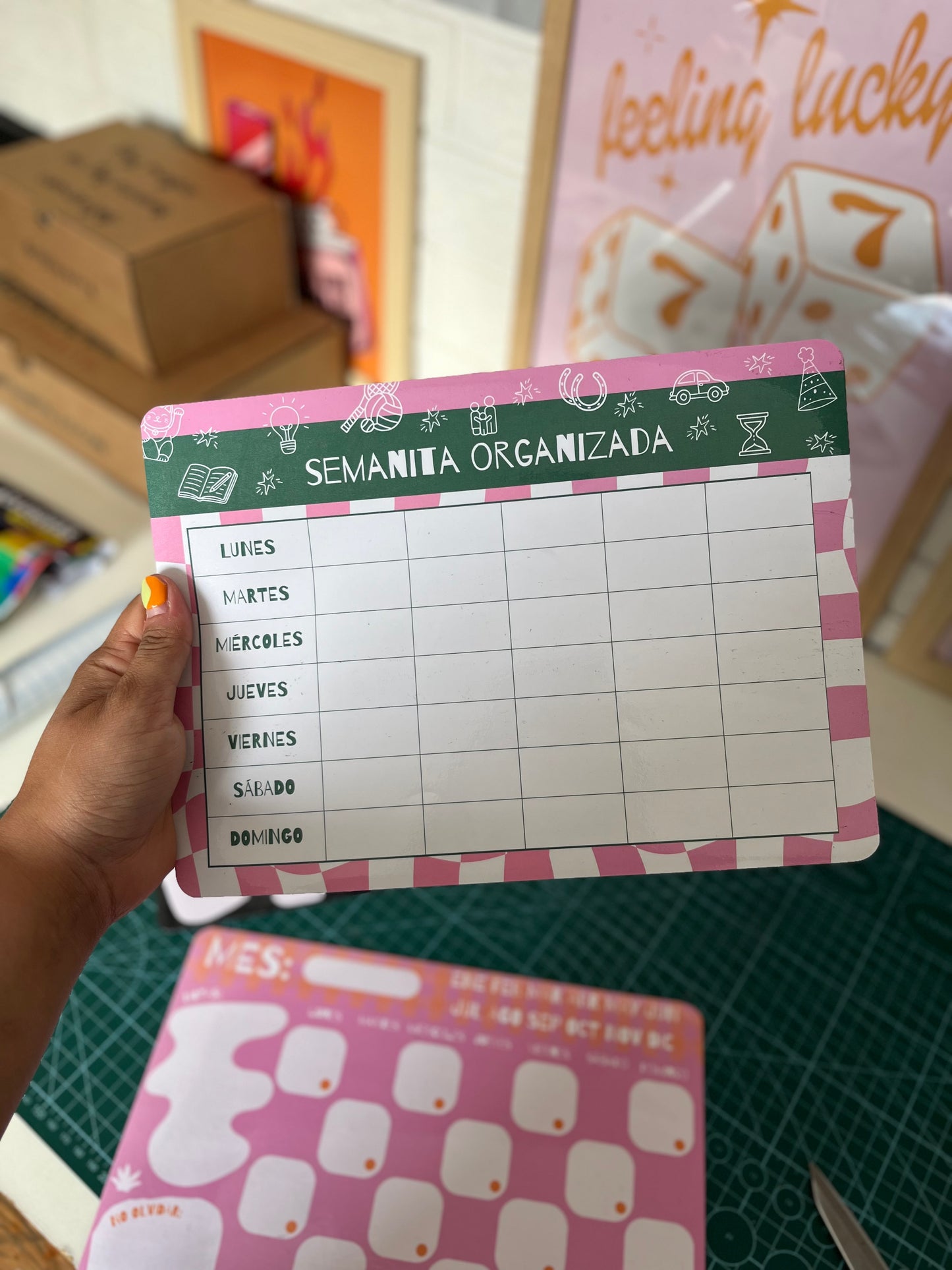 Organizador imantado + marcador