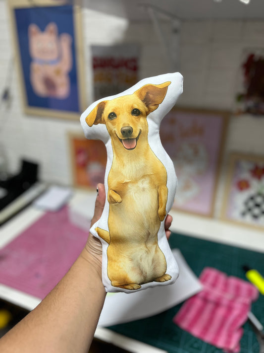 Muñeco personalizado