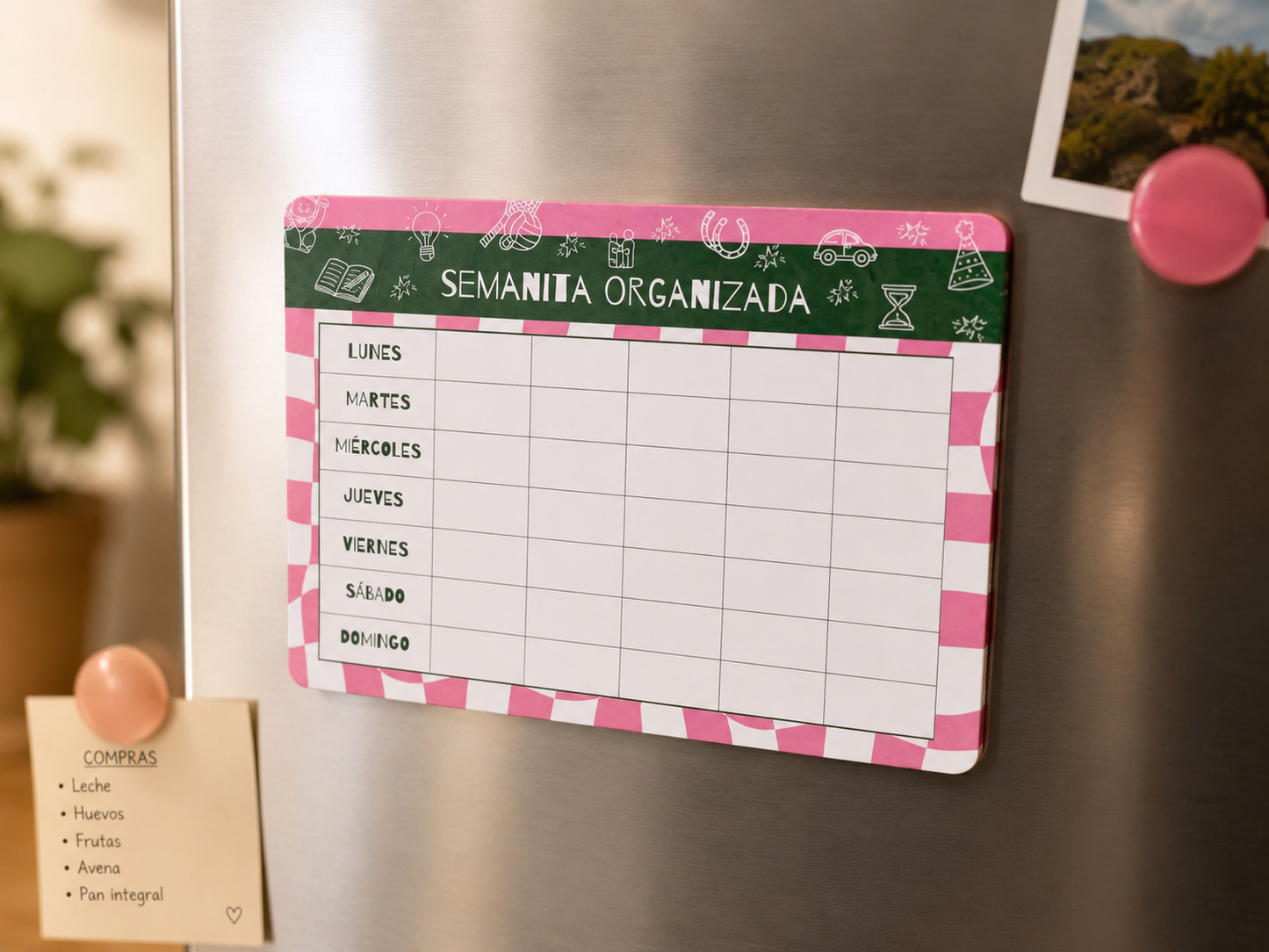 Organizador imantado + marcador